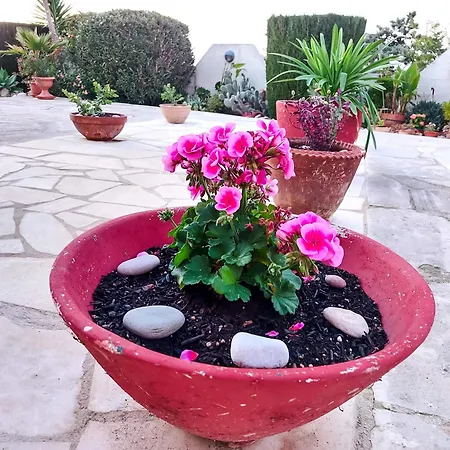 Sea View Luxury In Acropaphos, Patio, Terrace, Pool, Tv 65 Inch * Klorakas