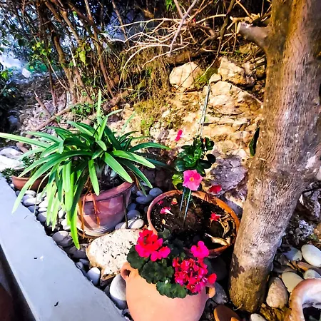 Sea View Luxury In Acropaphos, Patio, Terrace, Pool, Tv 65 Inch Appartamento Klorakas