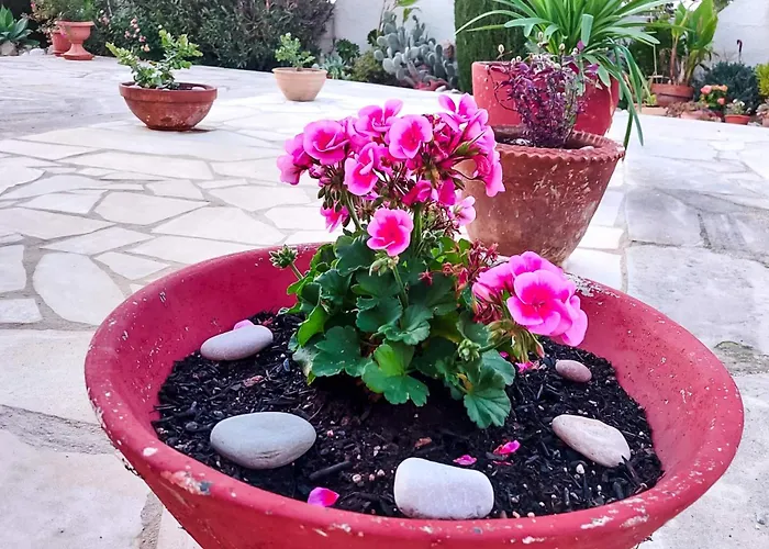 Sea View Luxury In Acropaphos, Patio, Terrace, Pool, Tv 65 Inch * Klorakas