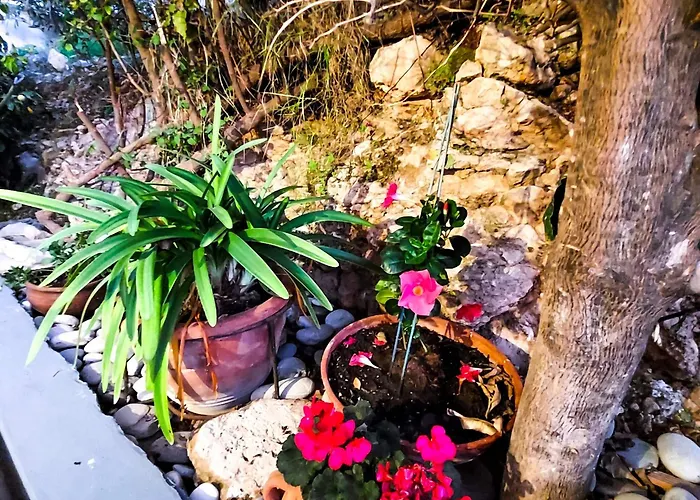 Sea View Luxury In Acropaphos, Patio, Terrace, Pool, Tv 65 Inch Apartament Klorakas